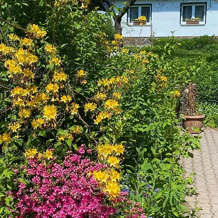 Hébergement de vacances Ferienhaus In Mit Moeblierter Terrasse *